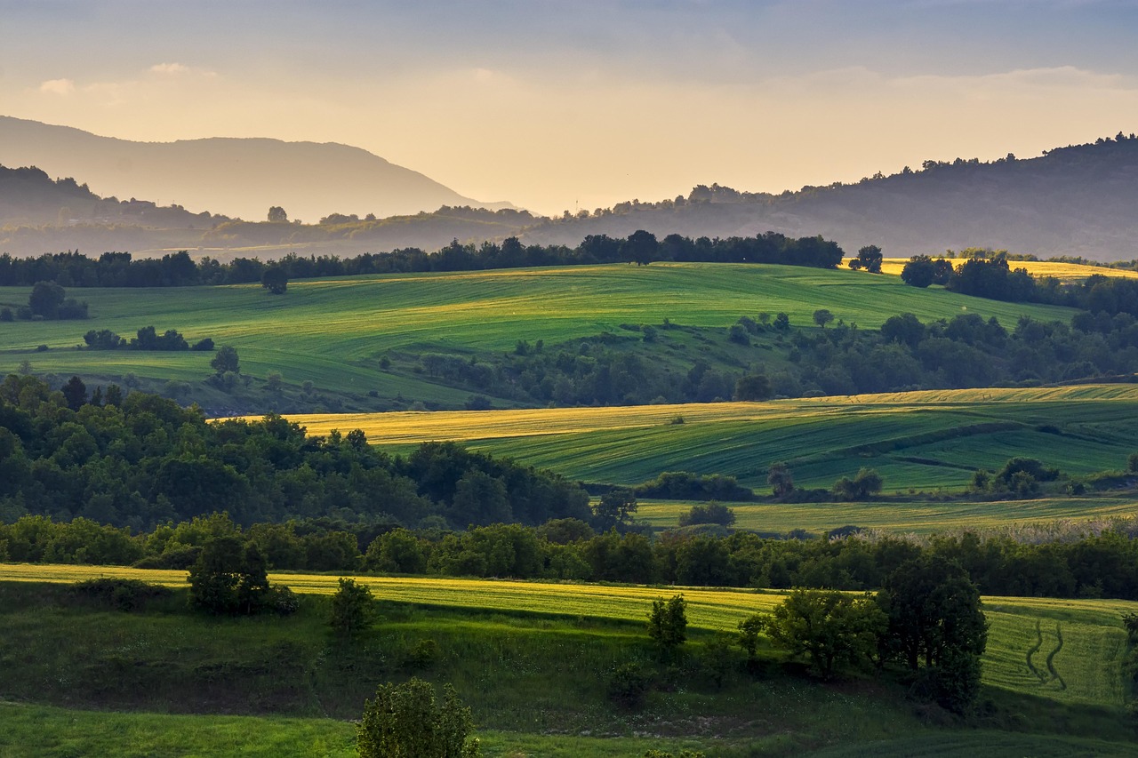 How Does Agriculture Contribute to Atmospheric Pollution?